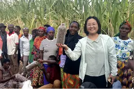 福建⇋非洲，相距万里情谊连图片