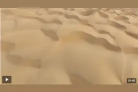 生命禁区？ 90s看看塔克拉玛干沙漠中的野生动物图片