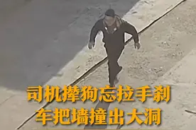 司机大哥每次送快递都被狗追 忍无可忍 没拉手刹就下车撵狗 结果溜车把院墙撞出大洞图片