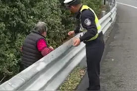 野菜鲜！八旬老人高速摘菜，交警急喊：匝道边坡不是菜园图片