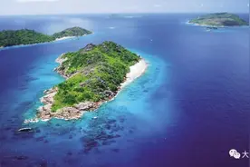 岛屿， 奇妙动物的孕育地图片