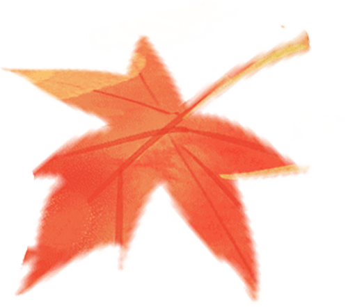 镇 江 开 启 浪 漫 模 式