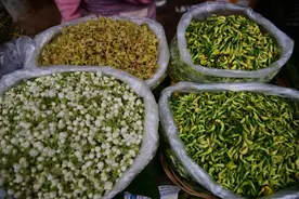 昆明餐饮市场将迎“吃花”高峰，鲜花宴、厨艺直播促进赏花经济图片