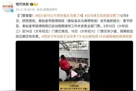 门票售罄！初六前可以不用来看兵马俑了图片