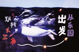 金山乐高乐园刚公布票价，一脚油门外的平湖农庄抓紧装修，周庄困境这样破吗？图片