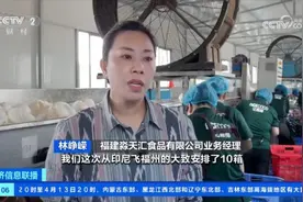 “椰”来喽！我国首次从印度尼西亚进口鲜食椰子图片