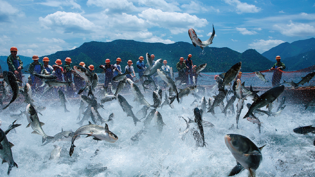 5A景区免费玩！这份来自千岛湖的“跑旅”福利请查收！