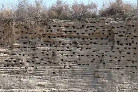 石家庄：春日崖沙燕归来图片