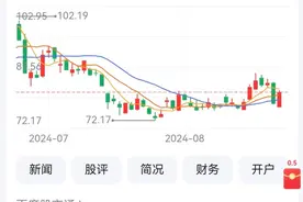 赛力斯半年报：营收650亿元大增490% 新能源车卖了20万辆图片