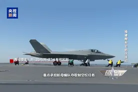 海空孪生！歼-35与歼-35A有何区别？一文揭秘图片