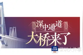 大桥来了｜深中通道能给货运物流带来哪些期待？图片