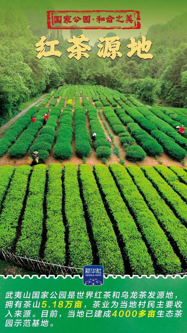 和合之美｜武夷山国家公园：“会呼吸”的诗意乐园