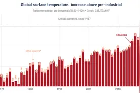 变暖加速？2024全球刷新高温纪录，首破巴黎协定1.5度温控目标图片