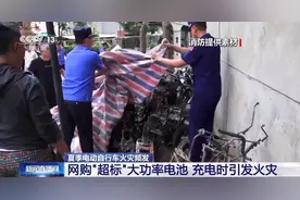 网购“超标”大功率电池 速度有了隐患大了图片