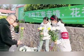 清明节烟台6万余市民出行祭亲人 千枝菊花免费发放图片