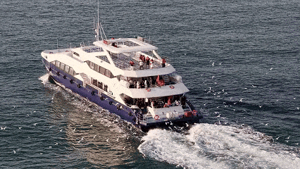 这10条冬游青岛线路，藏着N种浪漫！