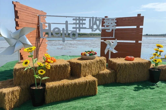 呼叫全国网友！快来巴彦淖尔捡辣椒、拔蔓菁、逛美丽乡村
