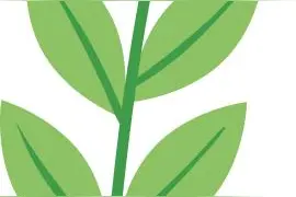 【收藏】个税扣除项目该如何选择，申税小微带您了解图片