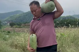 26℃｜这位大厨喜欢走村串乡，帮老乡们把土货卖出山图片