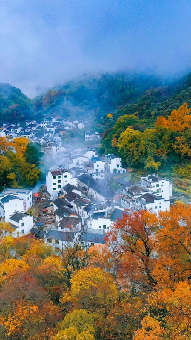 上饶绝美“枫景”加载完毕，前往石城锁定你的赏枫C位！