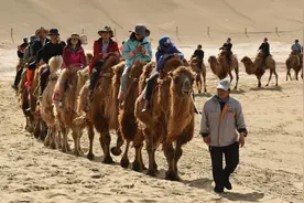 游客鸣沙山骑骆驼拍照被索要20元小费，景区：可打电话投诉图片