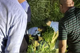 暴雨夜三轮车侧翻坠入深沟 警民合力救助被困老人图片
