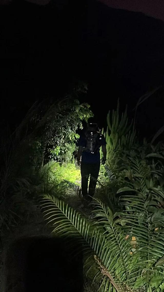 厦门一男子报警称在天竺山迷路，其实竟已爬到“天柱山”，密林中还有毒蛇，紧急救援！
