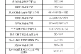北京今年“毛毛虫”更多？易生虫为何种国槐？最新回应来了图片