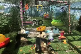 本周六，来给“姐俩”过生日！图片