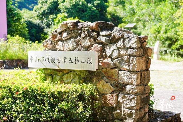 推动环五桂山文旅发展：广东文旅招商引资“走进地市”聚焦中山