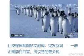 特朗普企鹅税成全球网络热梗，网友“火力全开”吐槽特朗普对企鹅征税图片