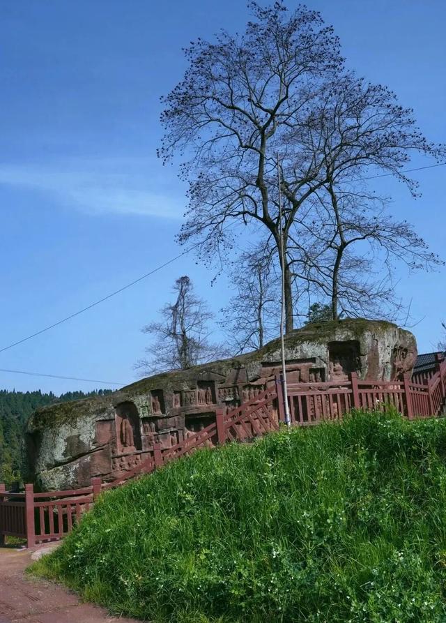 初秋country walk，是时候到仁寿村游啦