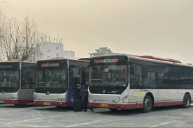 1月25日启用！淄博最新发布图片