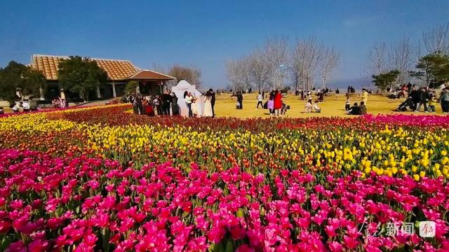 “陕西赏花地图”来了