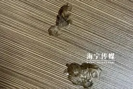 活久见！浙江一地惊现不明生物“蜕皮”，真相是……太出人意料图片