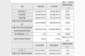 AI算力芯片龙头寒武纪：2024年净利润亏超4.4亿元 首次单季度盈利图片