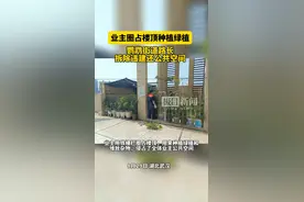 业主圈占楼顶种植绿植，鹦鹉街道路长拆除违建还公共空间图片