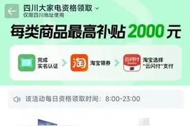 电商与银联达成合作 无需跳转即可领取云闪付政府补贴图片