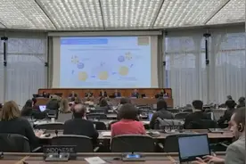 浙江知识产权行政执法经验受邀亮相国际会议：中国没有先例图片