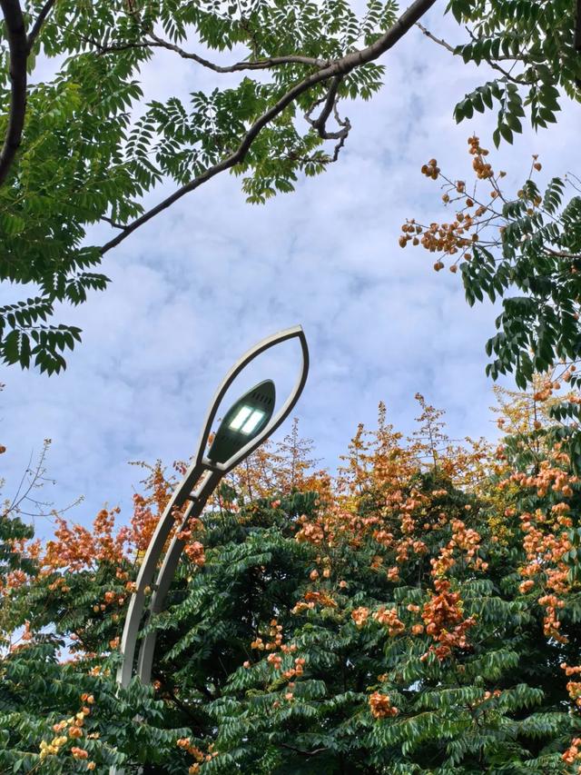 秋天的陇南，有什么好看的？