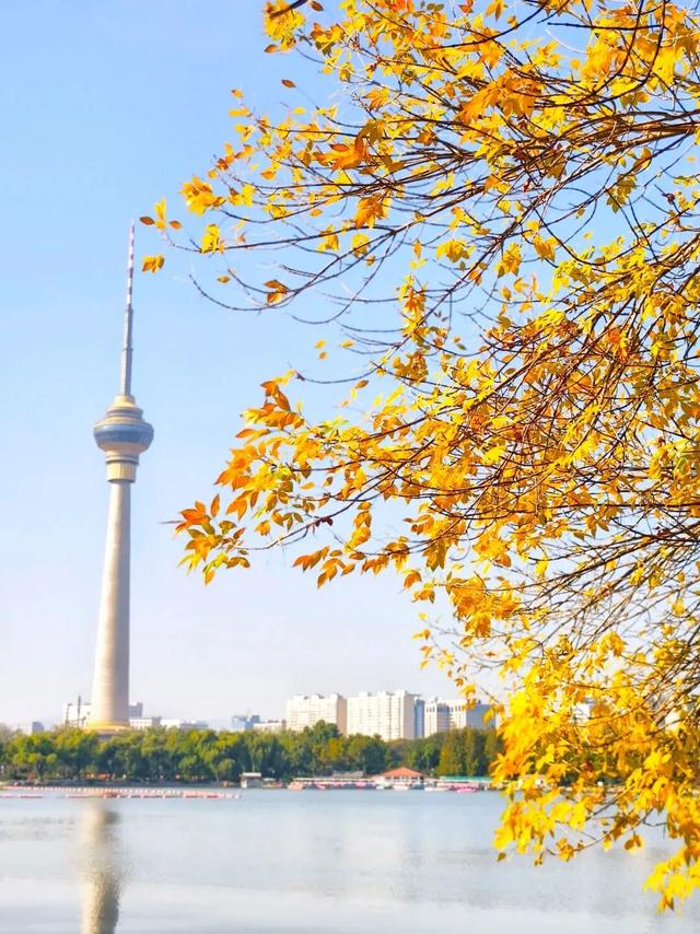 北京的秋天，邀请你坐会儿