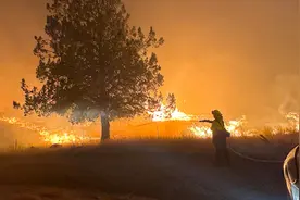 “最热一天”刚过 “最热一年”不远？全球多地遭遇热浪侵袭，极端最高气温超过50℃图片