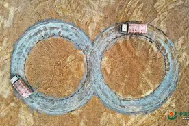 一棵“荣誉树”见证新疆军区某团运输连成长图片