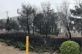 北京消防：祭祀烧纸引发火灾，一人被行拘图片