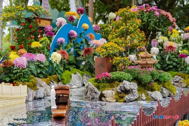 周末去哪玩？今起20天！福州人快冲！