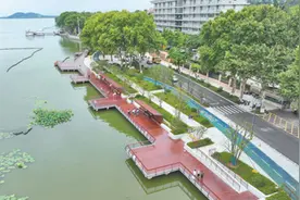 跟着跑友看绿道 湖北武汉建成105公里闭环东湖绿道图片
