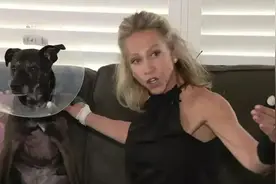 爱犬被2米长鳄鱼咬住，女子跳鳄鱼身上硬掰开鳄鱼嘴把狗救了图片