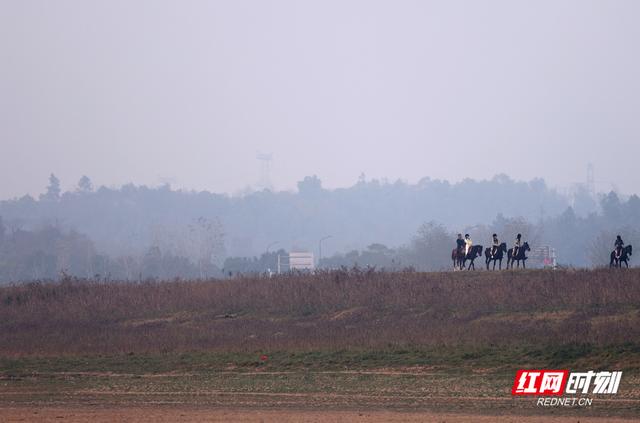 大美红图丨湘江河床变“牧场”，都市人骑马逐夕阳