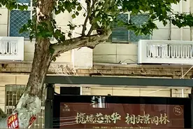 郑州公交出行“适老”了吗？｜关注“公共场所适老化改造”系列①图片