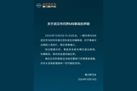 赛力斯回应武汉问界M9事故：事故发生前车辆已退出智驾，正积极配合事故调查图片
